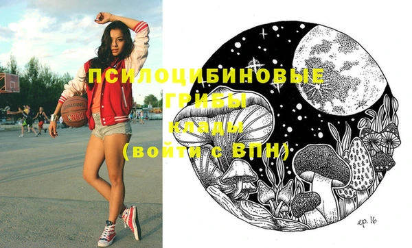 амфетамин Гусь-Хрустальный